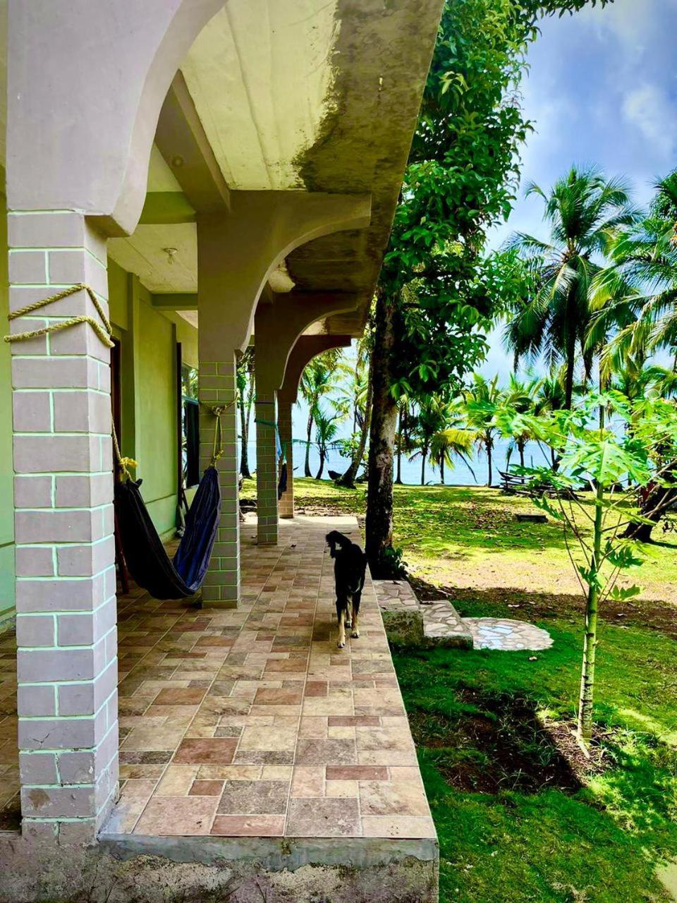 Guesthouse Island Escape South End Экстерьер фото