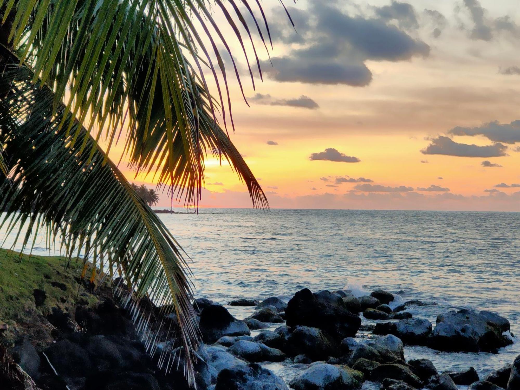 Guesthouse Island Escape South End Экстерьер фото
